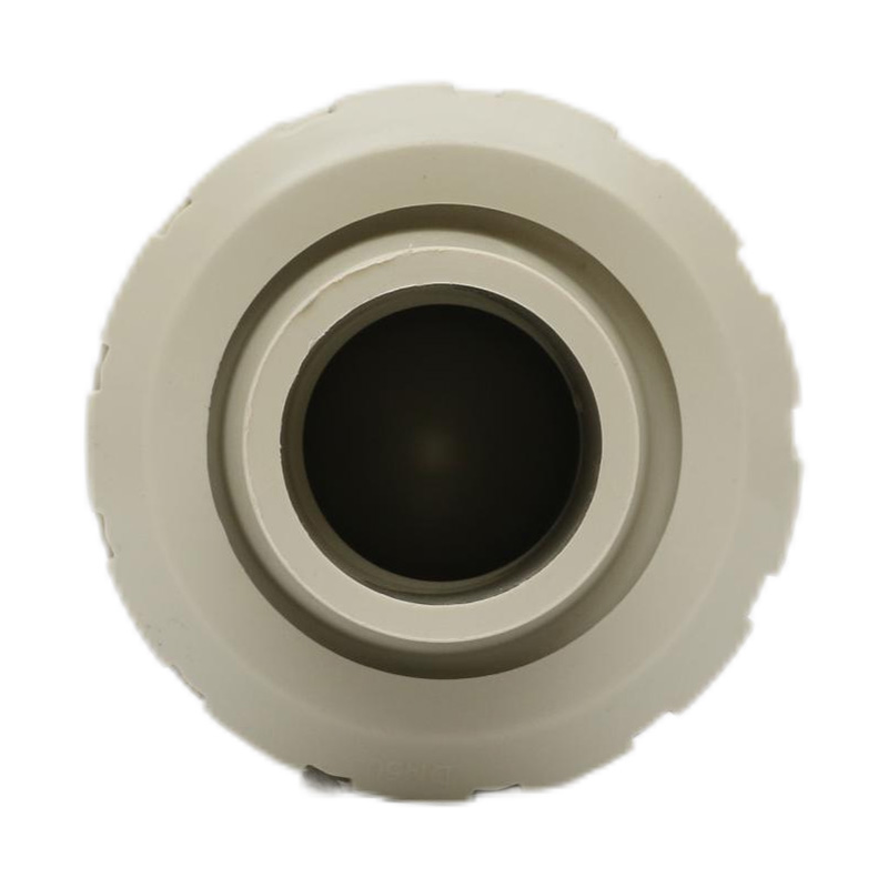 Valvola di rito per saldatura a caldo PPH H61F-10S DN50 GB standard