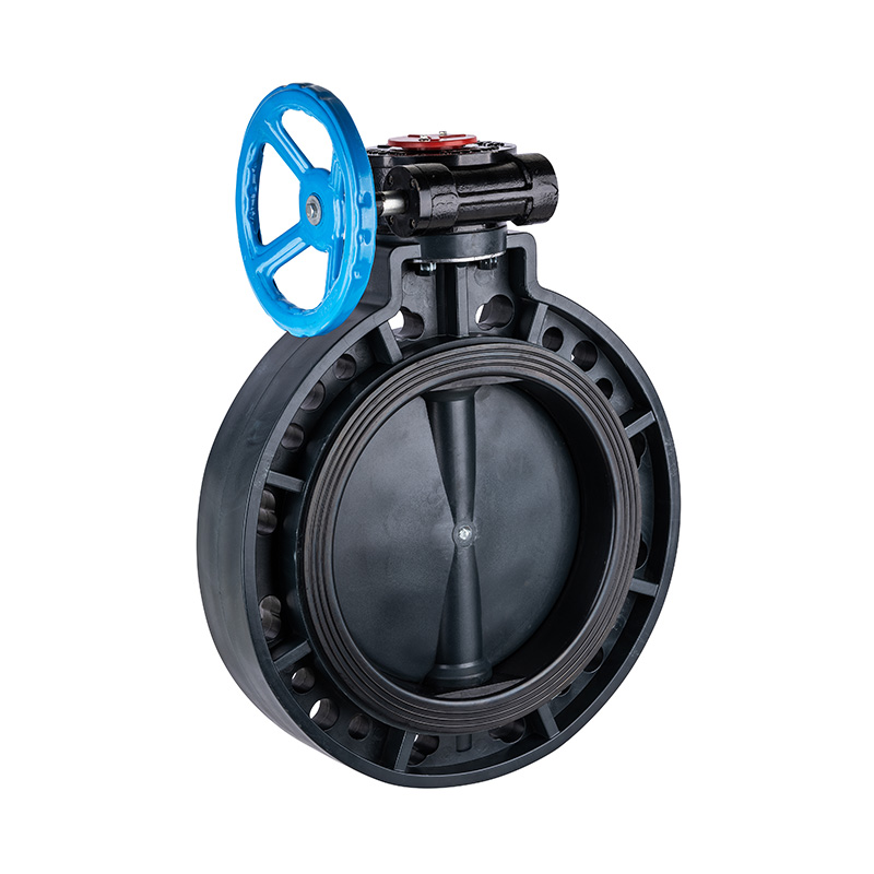 Valvola a farfalla con ingranaggio a vite senza fine FRPP D371X-10S DN40-1000 40A-1000A JIS standard