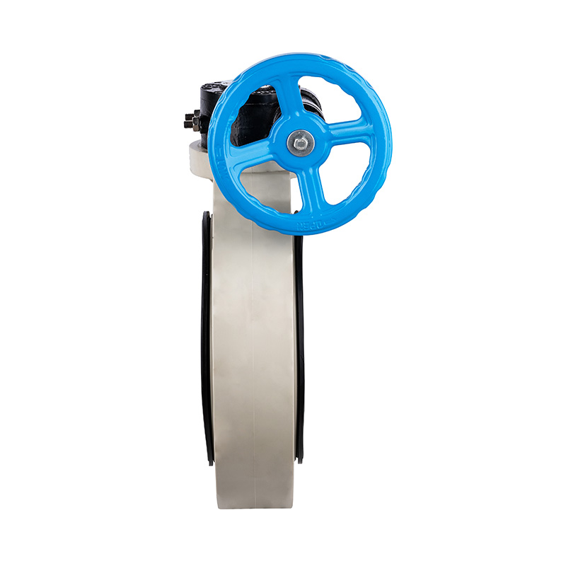 Valvola a farfalla con ingranaggio a vite senza fine PPH D371X-10S DN32-1000 GB standard
