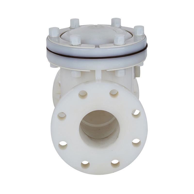 Valvola di rito a battente PVDF H44F-10F DN15-300 GB standard