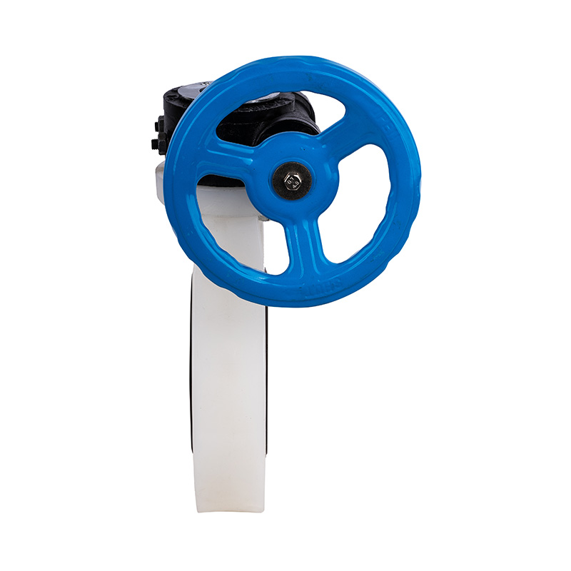 Valvola a farfalla con ingranaggio a vite senza fine PVDF D371X-10F DN32-1000 GB standard