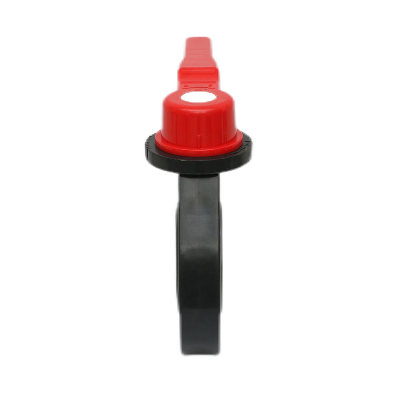 Norma della valvola a farfalla tipo volantino FRPP D71X-10S DN15-200 15A-200A JIS