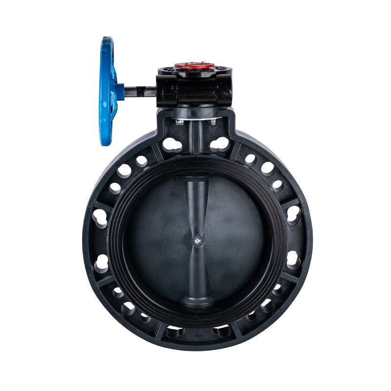 Valvola a farfalla con ingranaggio a vite senza fine FRPP D371X-10S DN32-1000 GB standard