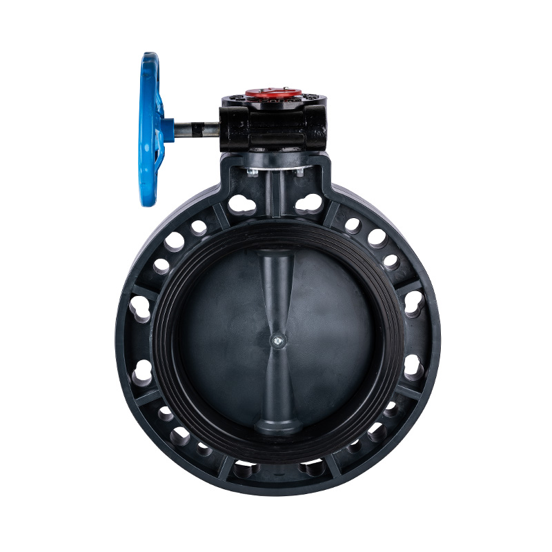 Valvola a farfalla con ingranaggio a vite senza fine FRPP D371X-10S DN40-1000 40A-1000A JIS standard