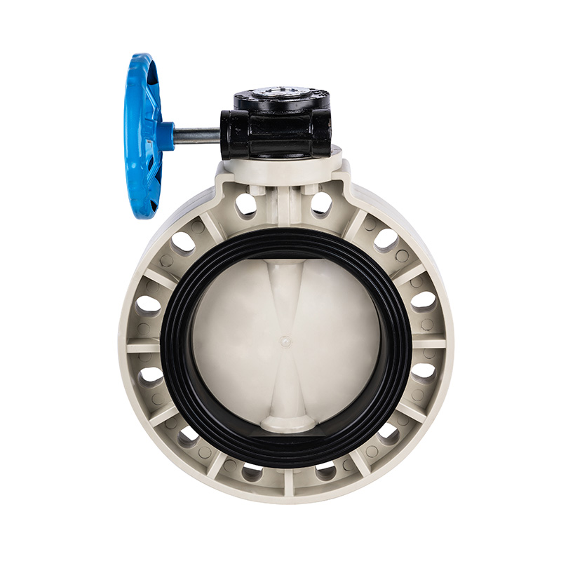 Valvola a farfalla con ingranaggio a vite senza fine PPH D371X-10S DN40-1000 1-1/2'-30' Norma ANSI