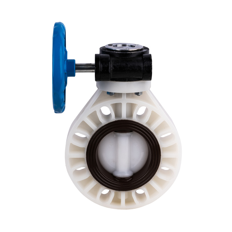 Valvola a farfalla con ingranaggio a vite senza fine PVDF D371X-10F DN32-1000 GB standard