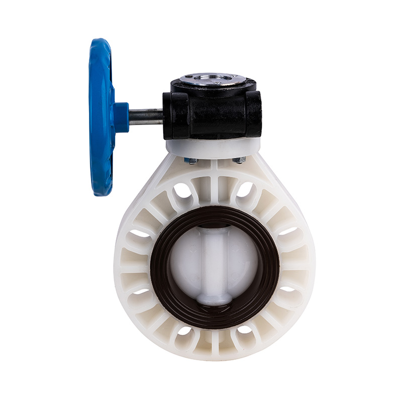 Valvola a farfalla con ingranaggio a vite senza fine PVDF D371X-10F DN40-1000 40A-1000A Norma JIS